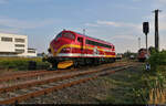 Nach getaner Rangiertätigkeit bewegt sich 227 003-1 (NOHAB MY 1131  Malene ) im Güterbahnhof Staßfurt auf ein Abstellgleis.