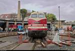 228 505-4 (118 005-8 | DR V 180) DB steht anlässlich des Sommerfests unter dem Motto  Diesellokomotiven der ehemaligen DR  auf der Drehscheibe des DB Musems Halle (Saale).
[25.8.2018 | 13:03 Uhr]