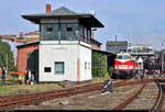 Blick anlässlich des 28. Heizhausfests auf das außer Betrieb genommene elektromechanische Stellwerk B, Bauart 1912 von Siemens&Halske, des Weichenwärters (Ww) im Sächsischen Eisenbahnmuseum Chemnitz-Hilbersdorf (SEM) mit 228 141-8 (118 141-1 | DR V 180 141) des SEM und 52 8177-9 der Dampflokfreunde Berlin e.V. im Hintergrund.
[25.8.2019 | 15:55 Uhr]