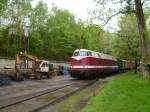 Am 11.05.13 gab es die Schwarzenberger Eisenbahntage, hier die 118 776-4 neben einem T174-1.