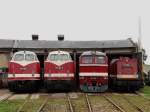 Am 12.10.13 fand beim TEV Weimar wieder ein BW Fest statt. Hier zusehen die 118 578-4, 118 788-9, 120 198-7 und 112 483-3.