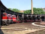 Ein Blick auf ein Teil der ausgestellten Loks beim Sommerfest in Halle, am 03.07.10.