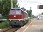 Am 11.08.2013 durchfuhr die 231 012 der WFL den Haltepunkt Rostock-Holbeinplatz.