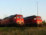 232 601 und 232 437 stehen am Abend des 26.04.07 in den Auenstnden des BW Rostock-berseehafen und lassen sich die die Sonne aufs Blech scheinen.