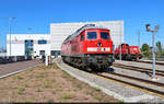 Standesgemäß begrüßte eine Ludmilla die Besucher vor der Lokwerkstatt von DB Cargo in Halle (Saale).