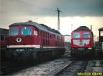 232 218 / 232 666 - Zwickau Depot - 26.04.2001