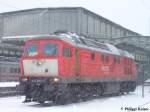 Die Ludmilla drfte mit dem krftigen Schneefall wie er am 9.1.2010 in Duisburg herrschte keine Probleme haben. So dieselt 232 909-2 ganz gemtlich vor dem Duisburger HBF vor sich hin.