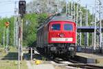 Diersellokomotive BR 232 498-6 der RAILION DB AG Logistik, Bw Wismar [11.05.2008]