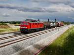 Die 232 571 mit einem Güterzug am 30.06.2017 bei der Durchfahrt in Tüßling.