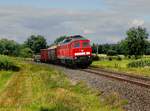 Die 232 571 mit einem Güterzug am 11.08.2012 unterwegs bei Rothenstadt.