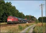 Selten geworden ist die alte Railionbeklebung bei den Ludmillas. 232 205 trgt sie Stolz an diesem Sommermorgen bei ihrer Fahrt mit einem Autotransportzug nach Horka, 14.08.08. 