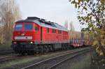 232 117 Dinslaken 21.11.2010