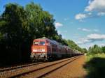 232 668 und 232 347 mit einem Elbtalumleiter in Pirk am 21.06.13