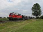 Die 232 654 mit einem Gterzug am 11.08.2012 unterwegs bei Rothenstadt.