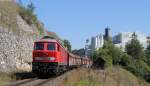 232 703-9 mit dem ????? (Ulm Rbf-Gershausen Merkle) bei Gershausen 4.9.13