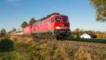 232 209 mit dem EC 111 nach Klagenfurt und einem Taurus im Schlepp als Umleiter im allerersten Morgenlicht bei Walpertskirchen.(26.10.13)