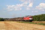 232 201 mit Güterzug am 24.07.2014 bei Ribe.