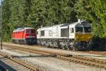 Auf dem Ausziehgleis der Wüst des Industrieparks Gendorf warten 247 050-8 und 232 252-7 auf neue Aufgaben. Kastl (Oberbayern), 17.09.2014
Öffentlich zugänglicher Fotostandort (Bahnsteig)

247 050-8
Hersteller: GM-EMD
Fabriknummer: 20068864-050
Baujahr: 2008
Abnahmedatum (DB): 10.12.2010
Heimat-Bw z.Z.d. Aufnahme: Mühldorf
weitere Beheimatungen: Oberhausen-Osterfeld Süd
UIC-Nr.: 92 80 1266 450-6 D-DB
Betreibernr. z.Z.d. Aufnahme: 247 050-8
EBA-Nr.: EBA 07A18A 050
Eigentümer z.Z.d. Aufnahme: Euro Cargo Rail, Paris
Radsatzfolge: Co'Co'
Vmax (km/h): 120
Leistung (kW): 2.420
Anfahrzugkraft (kN): 467
Dienstmasse (t): 130
Radsatzfahrmasse max. (t): 22
LüP (mm): 21.349

232 252-7
Hersteller: Lokomotivfabrik Oktober-Revolution, Woroschilowgrad
Fabriknummer: 0465
Abnahmedatum: 13.09.1975
Erst-Bw: Halle (Saale) G
weitere Beheimatungen: Seddin, Reichenbach (Vogtland), Frankfurt (Oder), Cottbus, Rostock-Seehafen
UIC-Nr.: 92 80 1232 252-7 D-DB
Betreibernr. z.Z.d. Aufnahme: 232 252-7
Radsatzfolge: Co'Co'
Vmax (km/h): 120
Leistung (kW): 2.210
Anfahrzugkraft (kN): 294
Dienstmasse (t): 120
Radsatzfahrmasse max. (t): 20
LüP (mm): 20.820