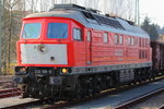 232 109-9 DB Schenker in Hochstadt/ Marktzeuln am 12.11.2011.