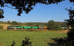 DGS 98609 von Gera nach Vojtanov (CZ) mit 232 413 Budemar West GmbH bei Plauen Chrieschwitz mit einem leeren Getreidezug. Aufgenommen am 30.08.2022