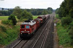 233 219-5 mit dem EZ 51082 von Leipzig Engelsdorf nach Nürnberg Rbf bei Thölau, 20.08.2016