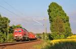 233 367-2 mit dem 51602 am 22.05.17 bei Plauen/V.