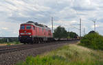 233 572 führte am 27.06.18 einen gemischten Güterzug durch Niederndodeleben Richtung Braunschweig.