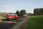 233 219-5 mit der Überführung des München Nürnberg Express nach Velim bei Pechbrunn, 23.08.2017