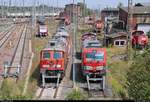 233 179-1 und 247 904-6 (Siemens Vectron) DB sind u.a. am ehemaligen Bw Halle G nahe der Zugbildungsanlage (ZBA) Halle (Saale) abgestellt.
Aufgenommen von der Berliner Brücke.
[3.8.2018 | 13:22 Uhr]