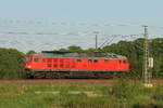 Die 233 698-0 dieselt am 14.05.2018 durch Nassenheide.