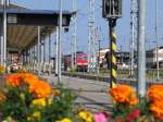 Vom Wismarer Bahnsteig 2 kann man prima durch die Blume zum Bahnsteig 3 fotografieren wo die 233 698 vorne steht. 20.06.2007 