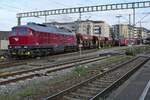 Ausfahrt von 233 373-0 der TrainLog GmbH in Richtung Radolfzell. Friedrichshafen, 04.11.2022