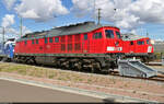 233 232-8 (232 232-9 | 132 232-0) stellte sich beim Tag der Schiene am Samstag den Eisenbahnfreunden in der Zugbildungsanlage (ZBA) Halle (Saale) zur Schau. Tags davor war es die 232 908-4, die nun ein Gleis weiter hinten abgestellt ist.

🧰 DB Cargo
🕓 17.9.2022 | 14:47 Uhr