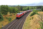 DB 233 112-2 brummt mit einem gemischten Güterzug bei Pechbrunn in Richtung Wiesau in der Oberpfalz. (25.07.2023)