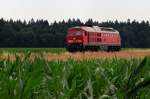 233 596 vor Pirach (02.07.2008)