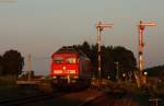 233 596 beim rangieren in Pirach. 23.08.2009