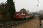 233 127 mit einem gemischten Gterzug nach Nrnberg am 06.11.2009 bei Sulzbach-Rosenberg Htte.