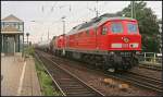 DB 233 217-9 mit Wagenlok 294 603-6 und gemischtem Gterzug. Wer die rtlichkeiten kennt, wird vielleicht etwas vermissen ;) (gesehen Magdeburg Neustadt 09.08.2010)