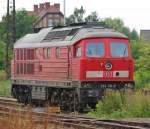 233 118-9 hat versucht, sich vor unserer Kamera zu verstecken, jedoch reichte das kleine Gestrpp nicht aus um die wuchtige Dame zu verdecken. Aufgenommen am 14.08.2010 in Grokorbetha.