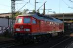 233 510 in ihrer nagelneuen Lackierung durchfhrt solo HH-Harburg. (30.09.2011)