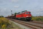 Mit einem Ganzzug Schttgutwagen ist 233 219-5 zwischen Haldensleben und Magdeburg unterwegs. Fotografiert am 18.09.2012 in Gro Ammensleben. 