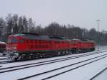 233 478-7 und 233 511-5 warten getrennt am 13.02.13 in Marktredwitz auf ihre Ausfahrt.