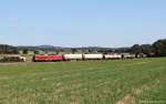 56907 am 5.9.13 in Hiltersdorf mit der 233 367 nach Amberg