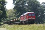 233 289-8 bei Kastl(Oberbay) 06.08.2007