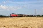 233 285 mit Güterzug am 24.07.2014 bei Tonder.