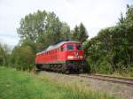 233 217-9 am Umspannwerk Großdalzig bei Leipzig 27.08.2015