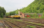 Am 03.06.16 brachte 233 493-6 einen Gleisschotterreinigungszug nach Bad Lobenstein.
Hier zu sehen in der Einfahrt.