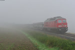 233 636 mit einem leeren Autotransportzug zwischen Marktredwitz und Seußen nach Cheb(Eger), 11.09.2015