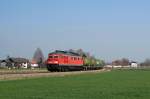 233 043 mit FZT 56516 in Tling (14.03.2007)