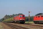 233 176 mit FZ 56697 und 233 586 in Tling (14.03.2007)